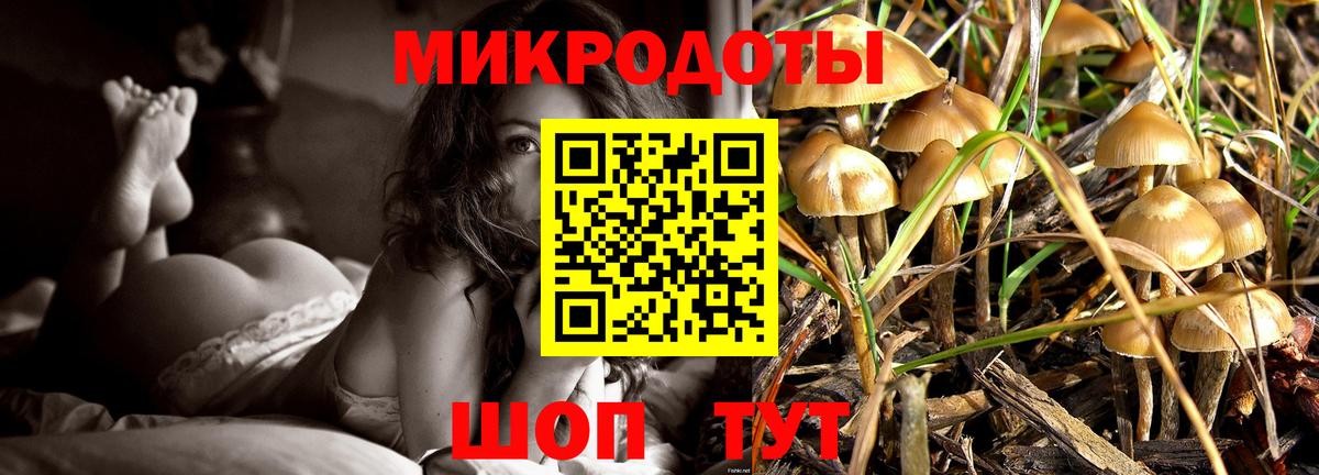 Галлюциногенные грибы Cubensis  Псилоцибиновые грибы GOLDEN TEACHER  Вход с VPN  Москва 