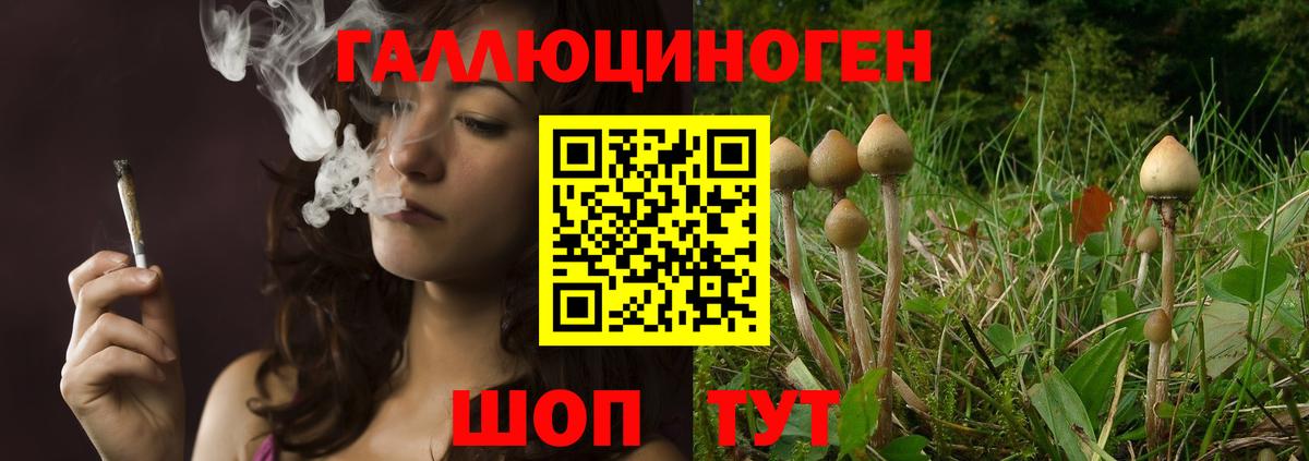 Галлюциногенные грибы прущие грибы Москва